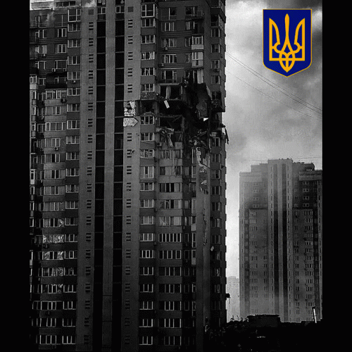 Schattenfall : Die Klagen von Grau